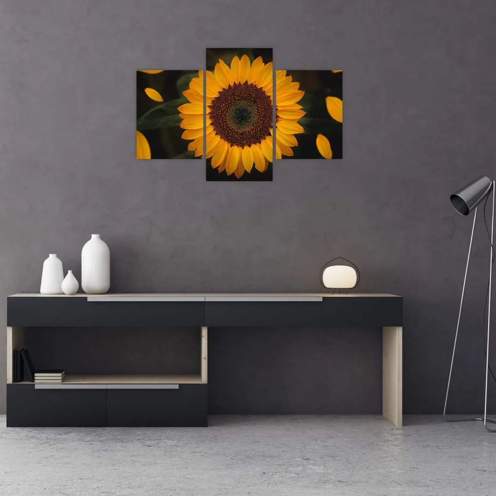 Tablou - Floarea soarelui și petale (90x60 cm)