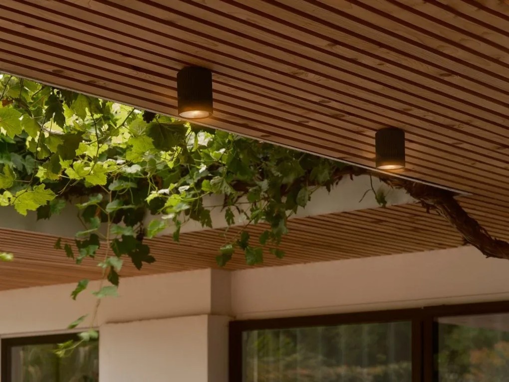Plafoniera exterior cu protectie IP54 Kyklop Ripple Negru