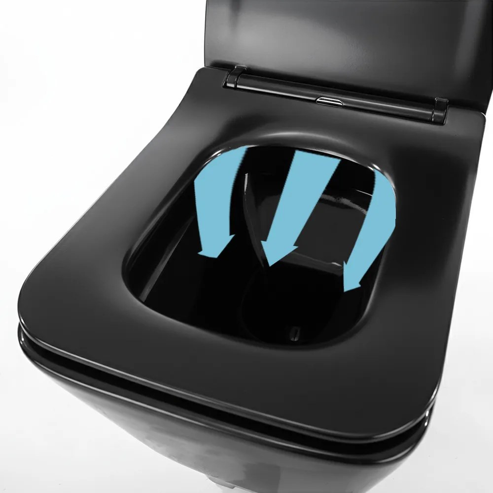 Roya Tina 81GRE set rezervor de toaletă de perete negru