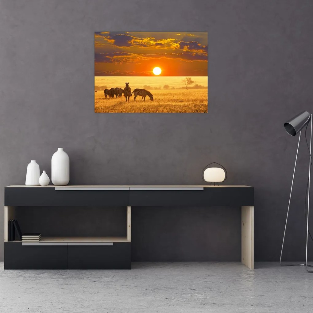 Tablou pe sticlă - Zebre cu apus de soare (70x50 cm)