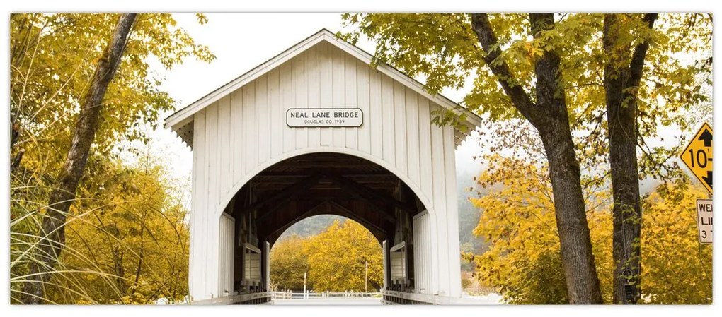 Tablou cu podul în Oregon (120x50 cm)