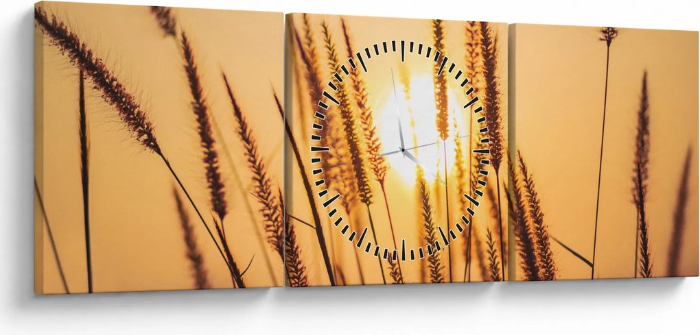 Tablou - Iarbă la soare (cu ceas) (90x30 cm)
