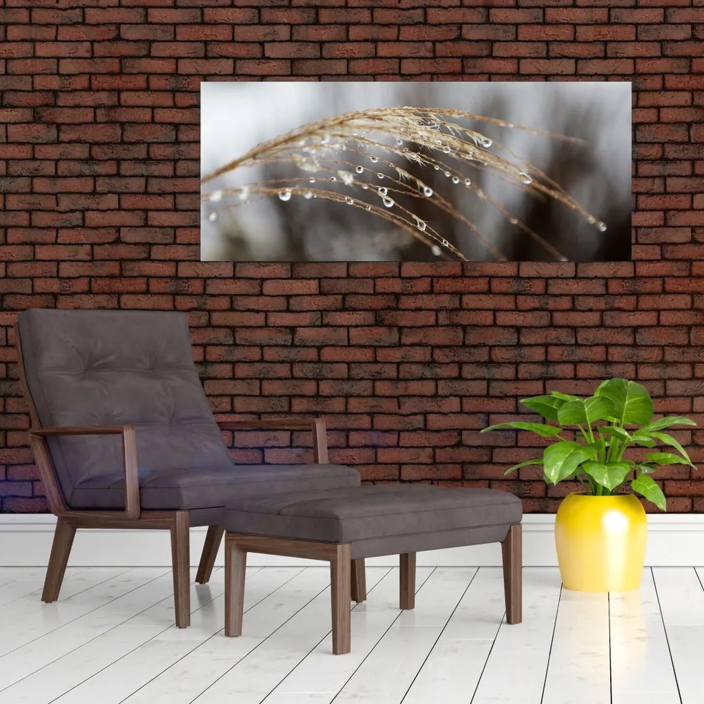 Tablou - Picături pe plantă (120x50 cm)