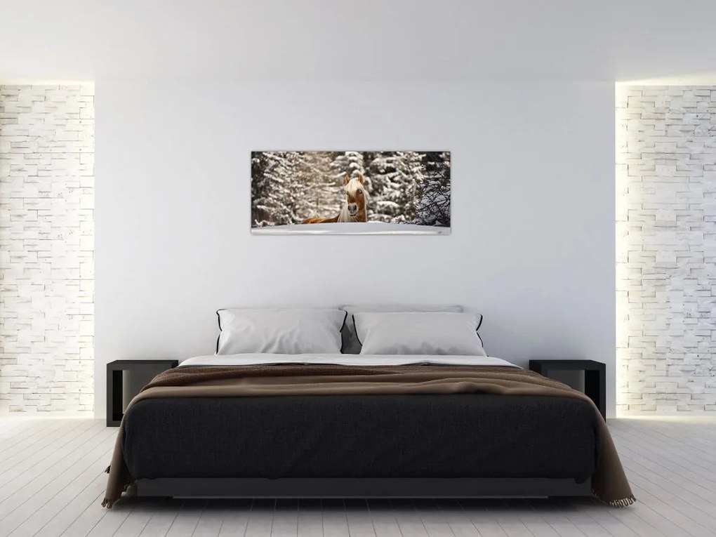 Tablou - Cal în peisaj de iarnă (120x50 cm)