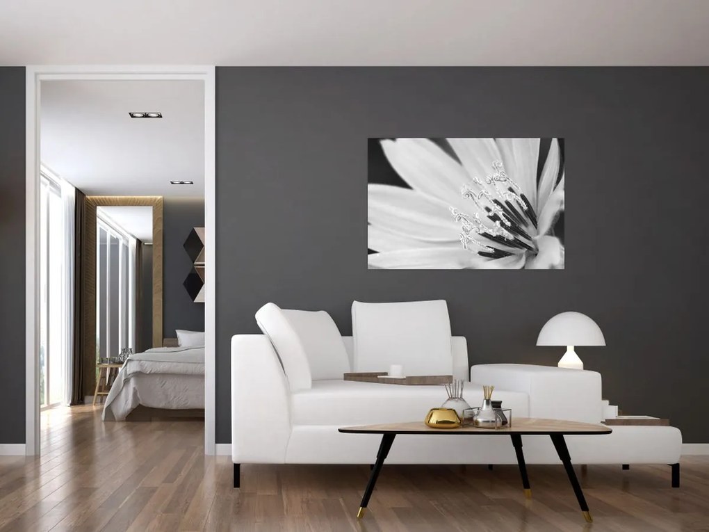 Tablou - Floare albă și neagră (90x60 cm)