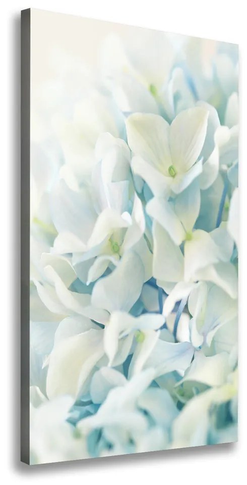Pictură pe pânză Floare de hortensie