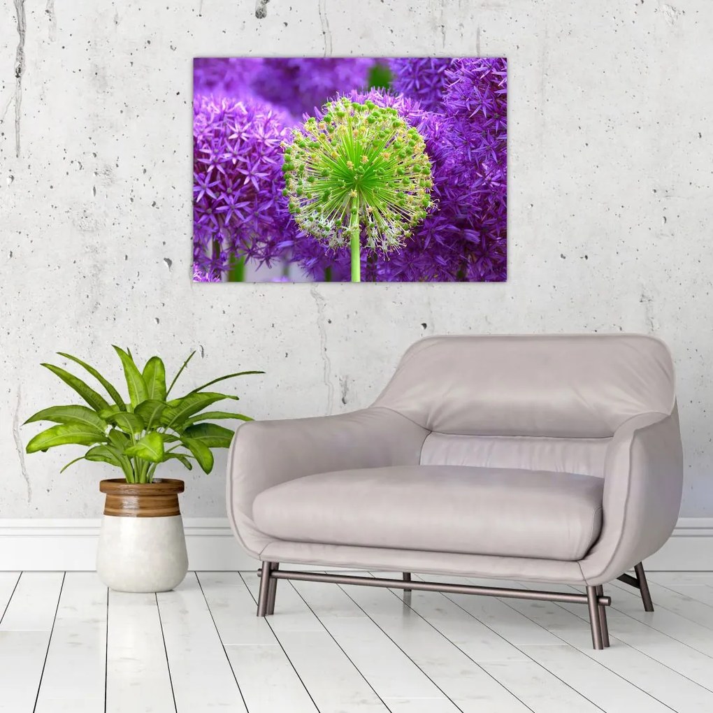Tablou cu floare (70x50 cm)