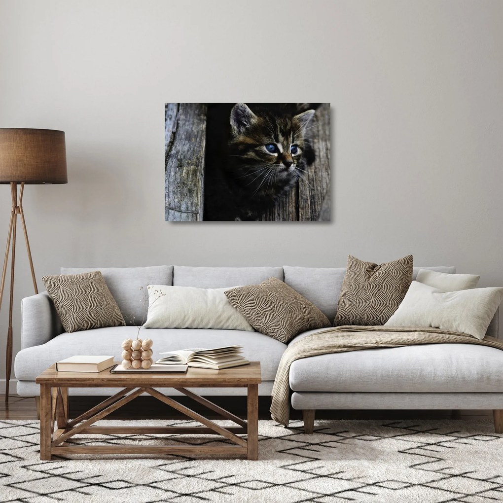 Tablou pe sticlă cu pisicuța (70x50 cm)