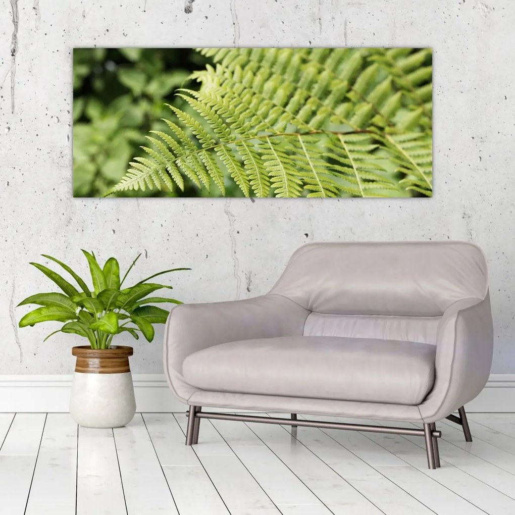 Tablou - Frunză de ferigă (120x50 cm)