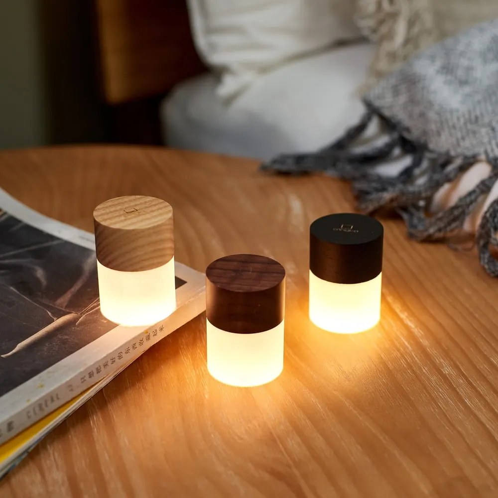 Decorațiune luminoasă în culoare naturală cu USB ø 4,5 cm Lemelia – Gingko