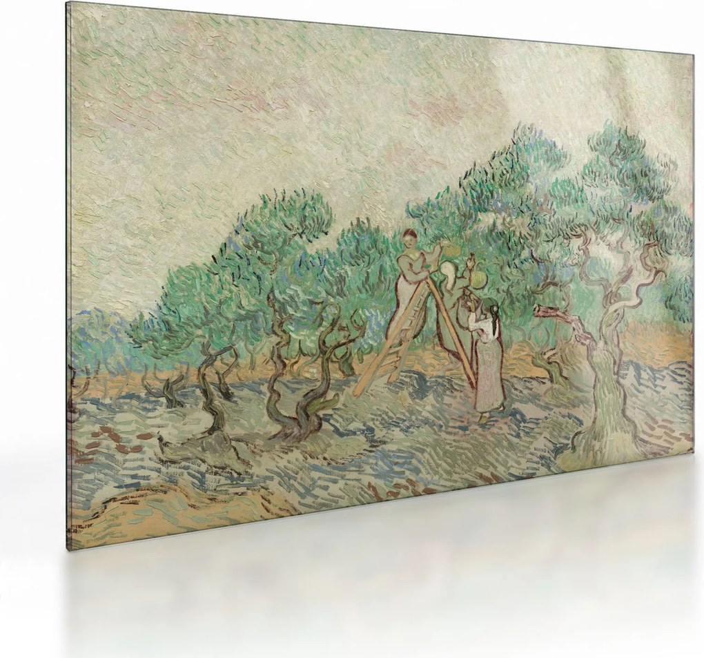 Tablou pe sticlă - Vincent van Gogh, The Olive Orchard, reproducere (70x50 cm)