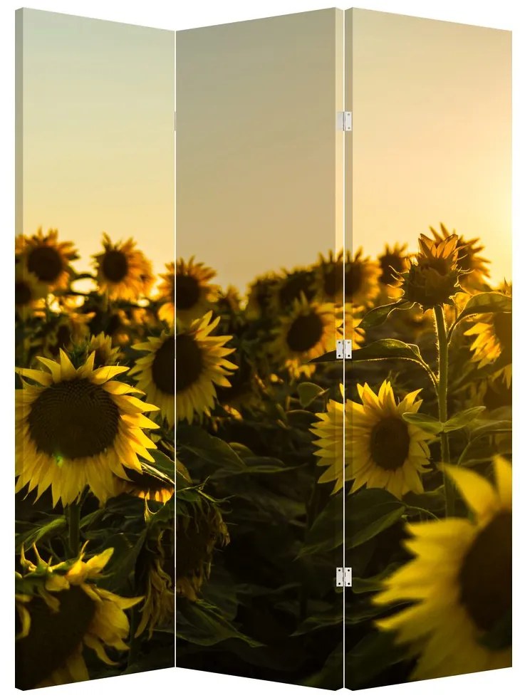 Paravan - Lan de floarea soarelui (126x170 cm)