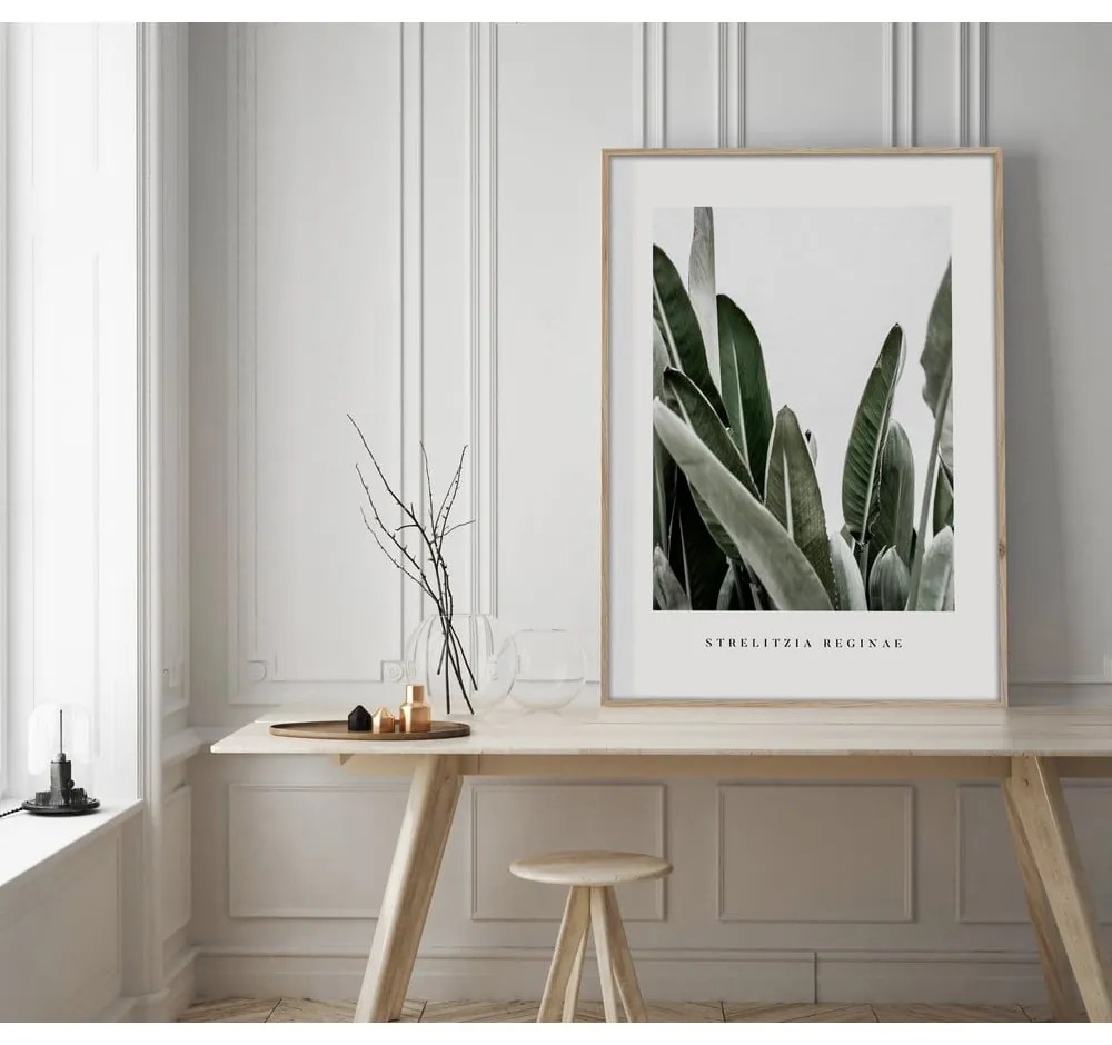 Tablou 50x70 cm Strelitzia – Styler