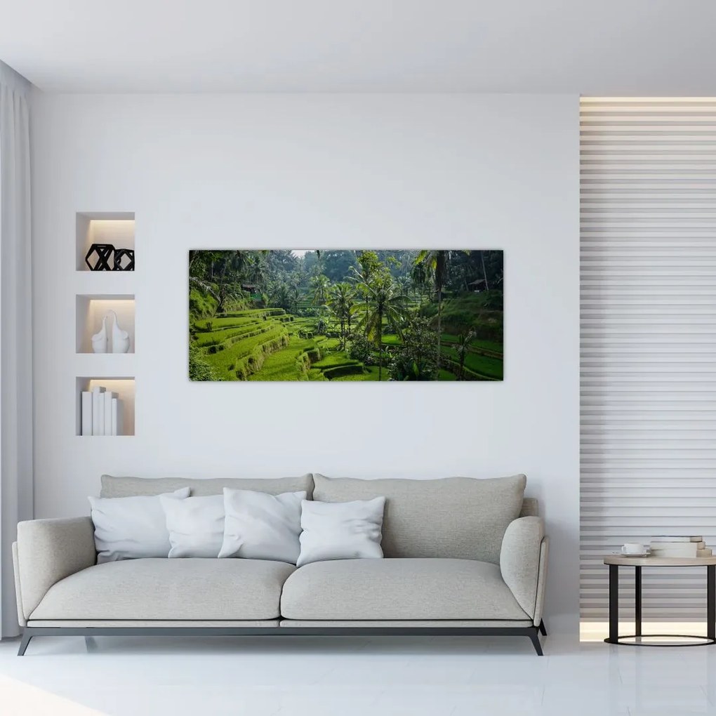 Tablou cu terasele cu orez Tegalalang, Bali (120x50 cm)