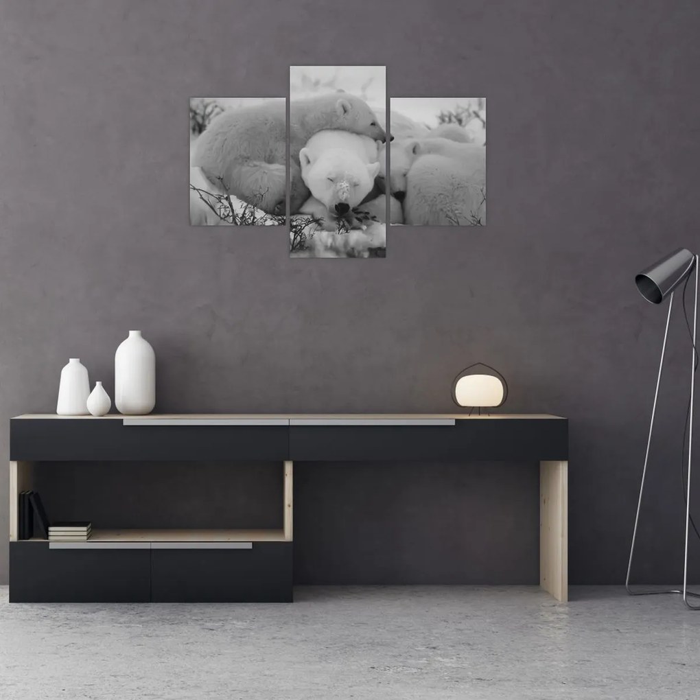 Tablou - Urși polari, alb-negru (90x60 cm)