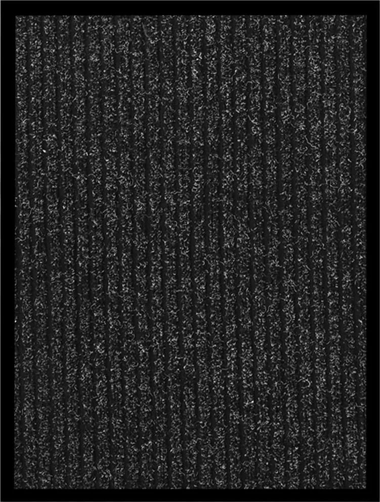 vidaXL Covoraș intrare, antracit cu dungi, 40x60 cm