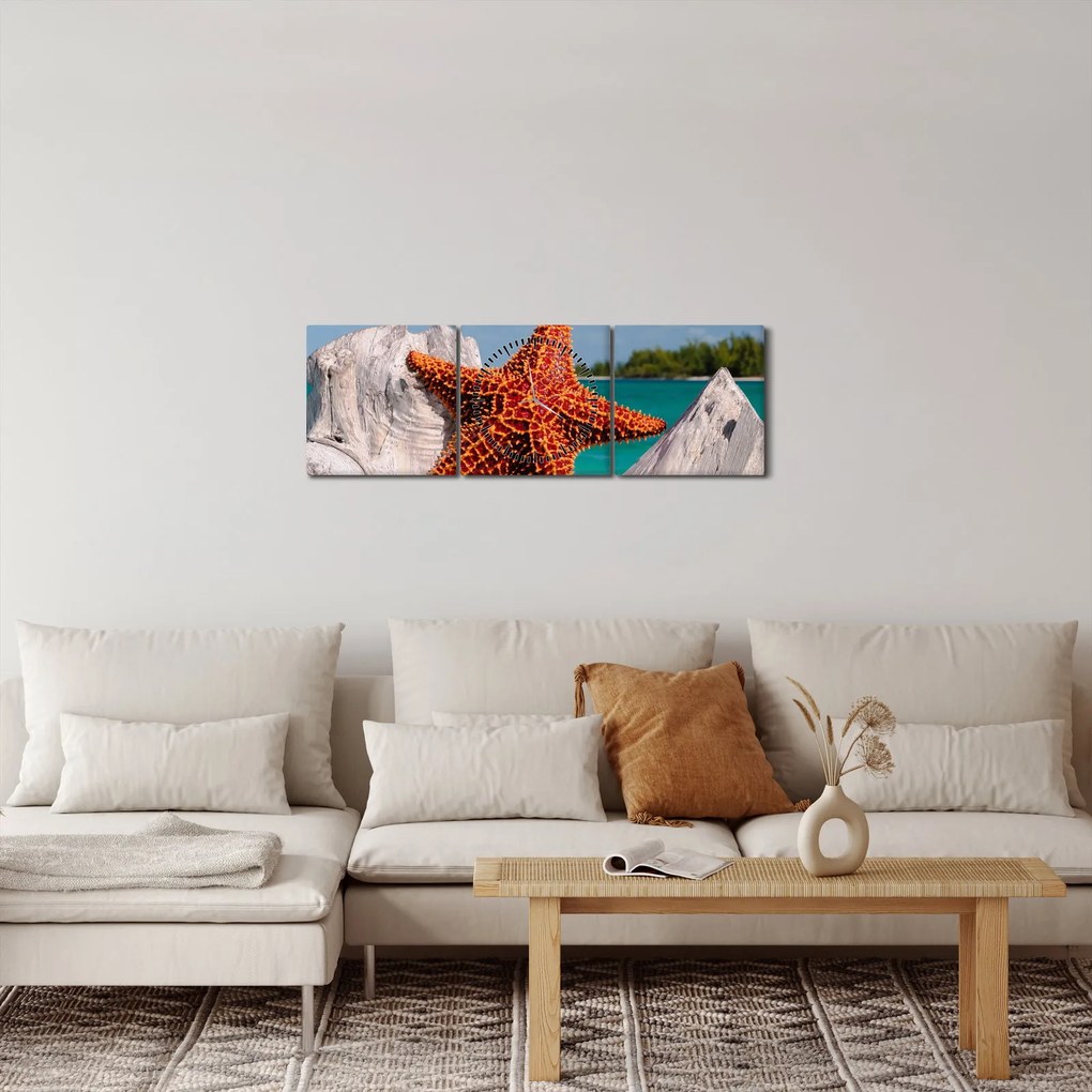 Tablou cu stea de mare (cu ceas) (90x30 cm)