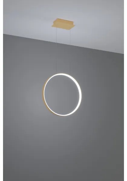 Lustră LED pe cablu RIO LED/30W/230V CRI95 4000K d. 55 cm auriu Thoro TH.221