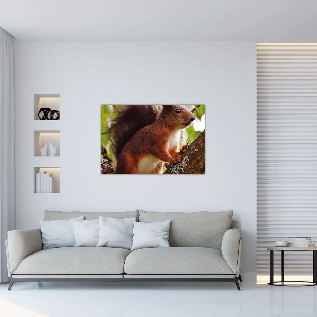 Tablou cu veverița (90x60 cm)