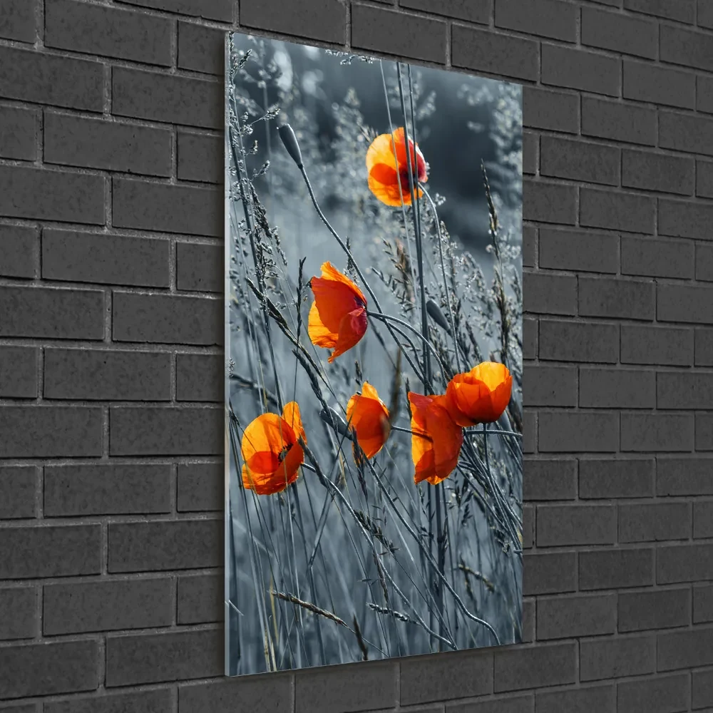 Imagine de sticlă wildflowers maci