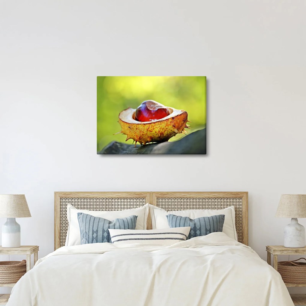 Tablou cu castani (70x50 cm)