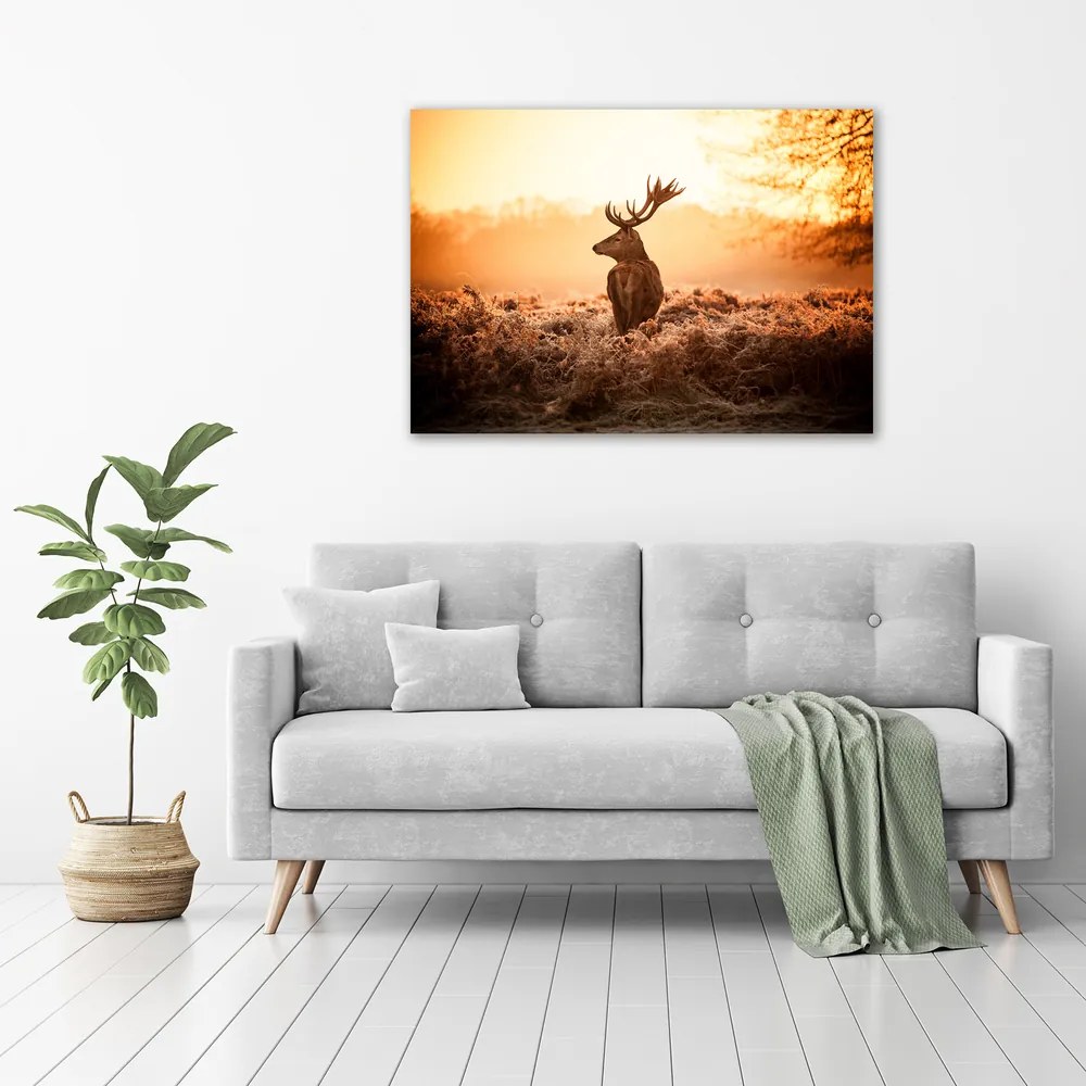 Tablouri tipărite pe pânză Sunrise deer