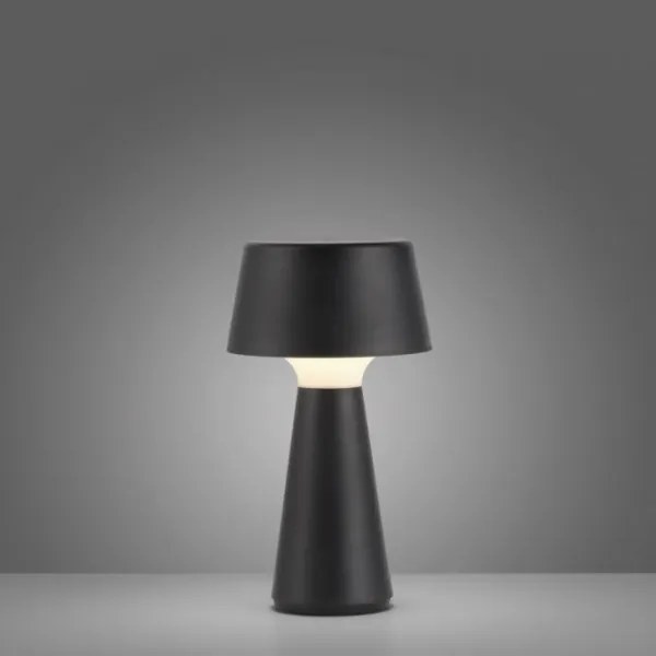 JUST LIGHT. 19260-18 - Lampă LED exterior dimabilă ABERA LED/3W/3,7V IP54