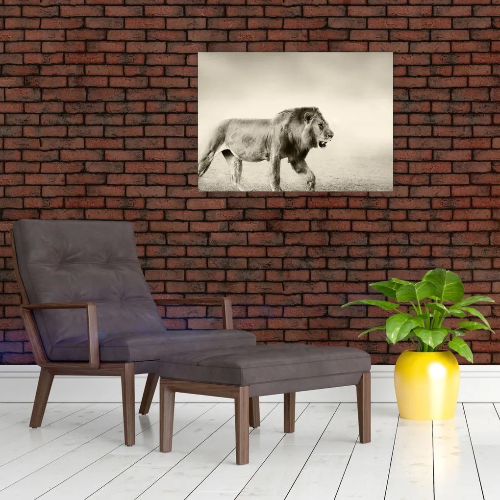 Tablou - Leul flămând (70x50 cm)