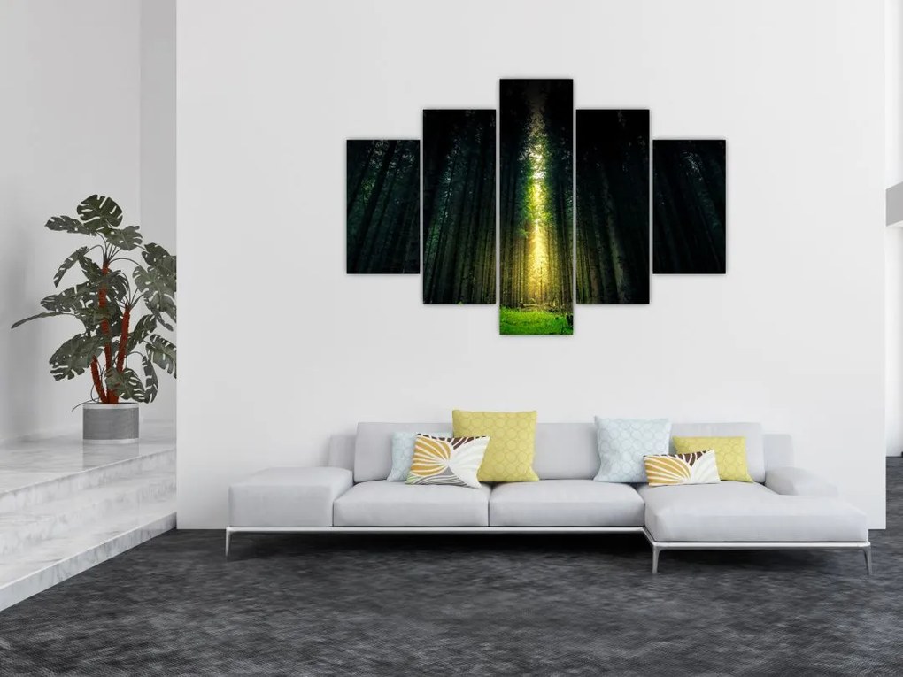 Tablou cu pădurea întunecată (150x105 cm)