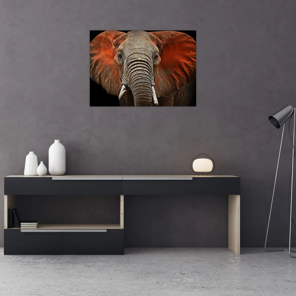 Tablou pe sticlă - Elefanți cu Tsavo (70x50 cm)