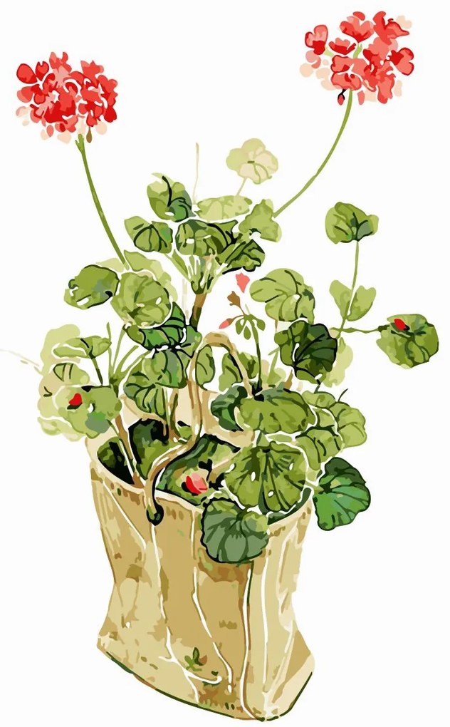 Pictura pe numere cu un cadru "Geraniums" 50x40 cm