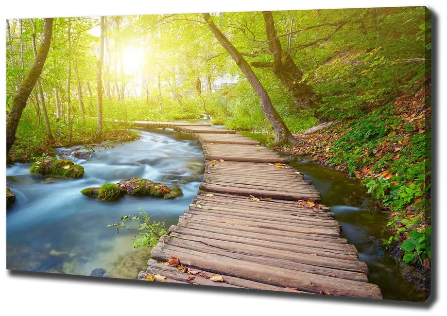Imprimare tablou canvas Calea în pădure