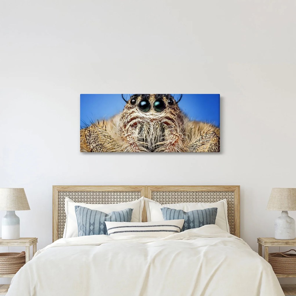 Tablou cu detalii a unui pâianjen (120x50 cm)