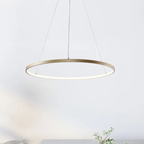 Lustră LED pe cablu Zuma Line 2023201-GD60 BRENO LED/28W/230V 3000/4000/6000K