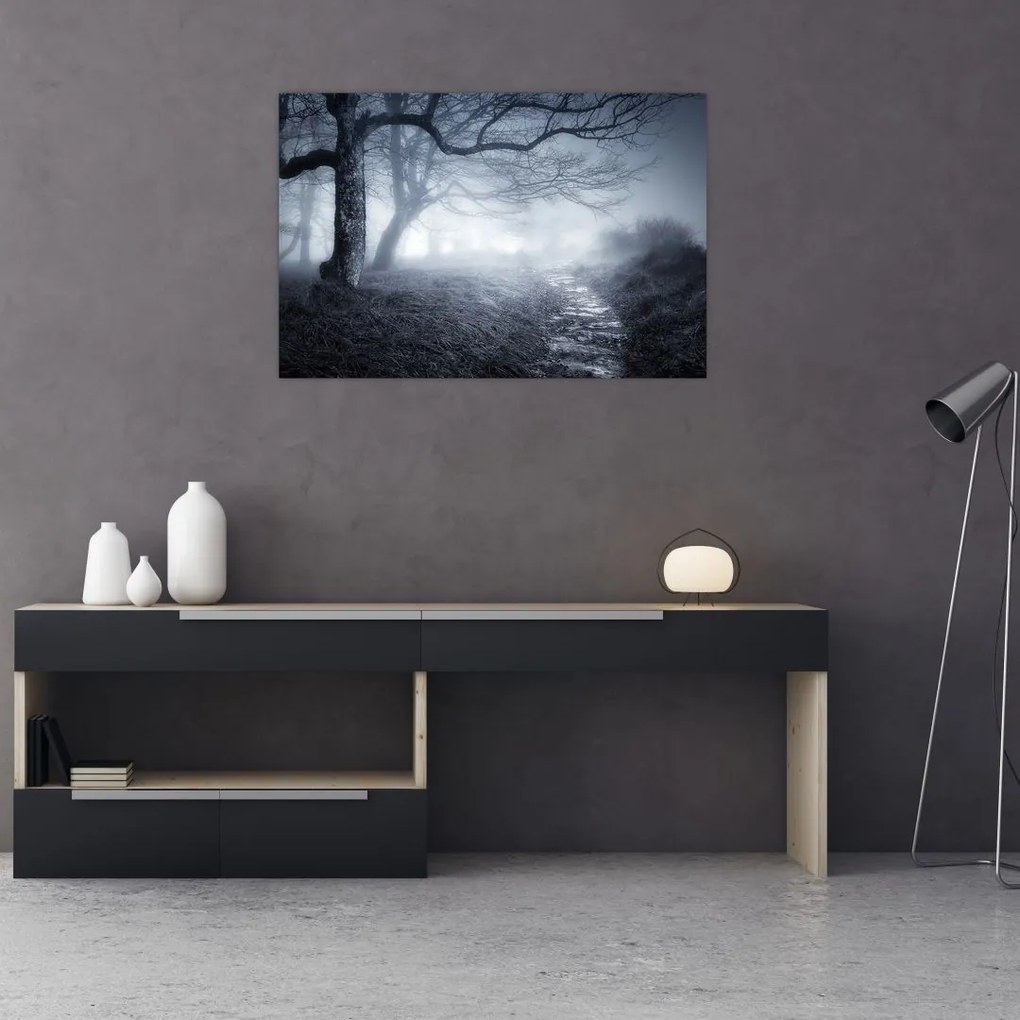 Tablou - Drum pin ceață (90x60 cm)