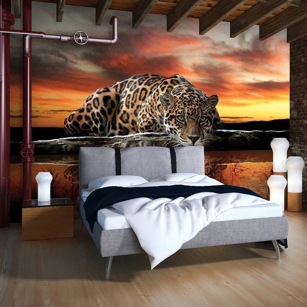 Fototapet - Jaguar (254x184 cm)