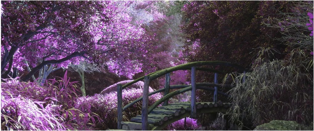 Tablou - copaci violeți (120x50 cm)