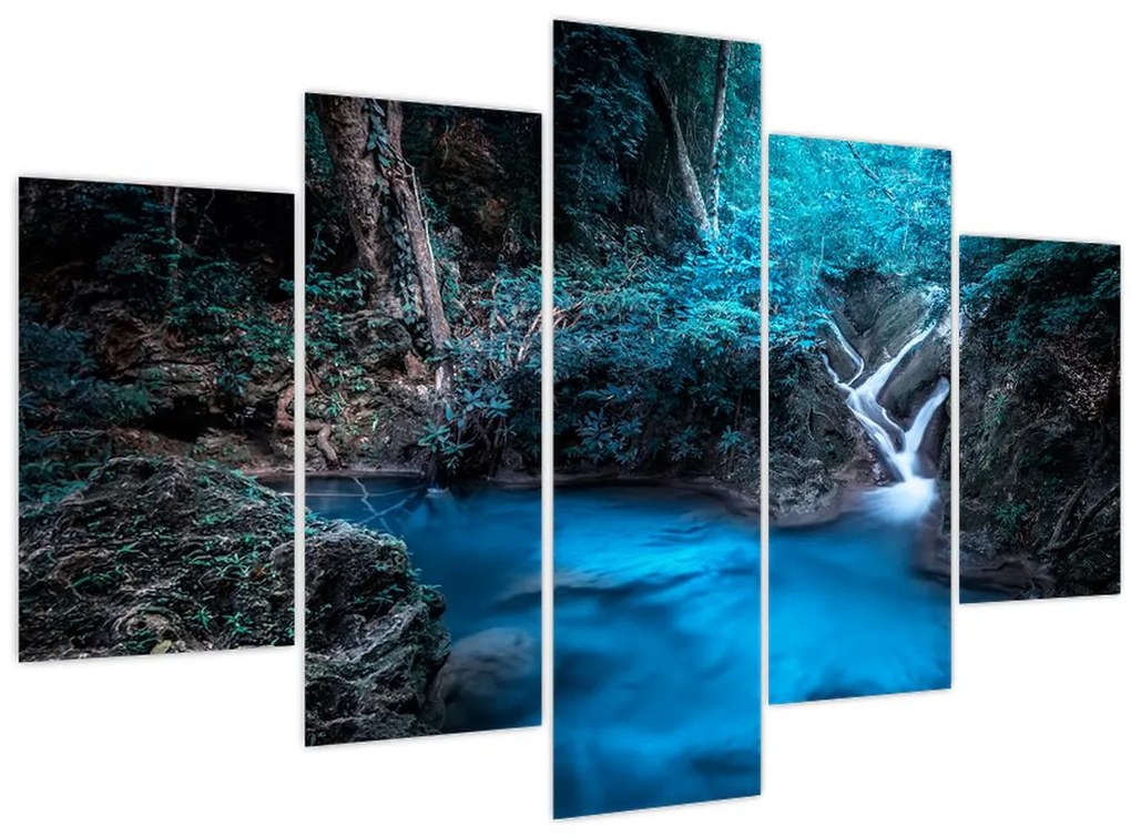 Tablou - Noaptea magică în pădurea tropicală (150x105 cm)