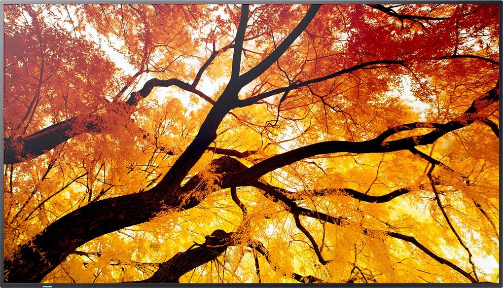 Monitor Videowall Sharp 60006058 4K Ultra HD 86"