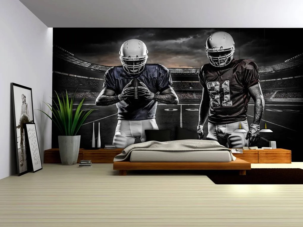 Fototapet - Stadionul de rugby (152,5x104 cm)