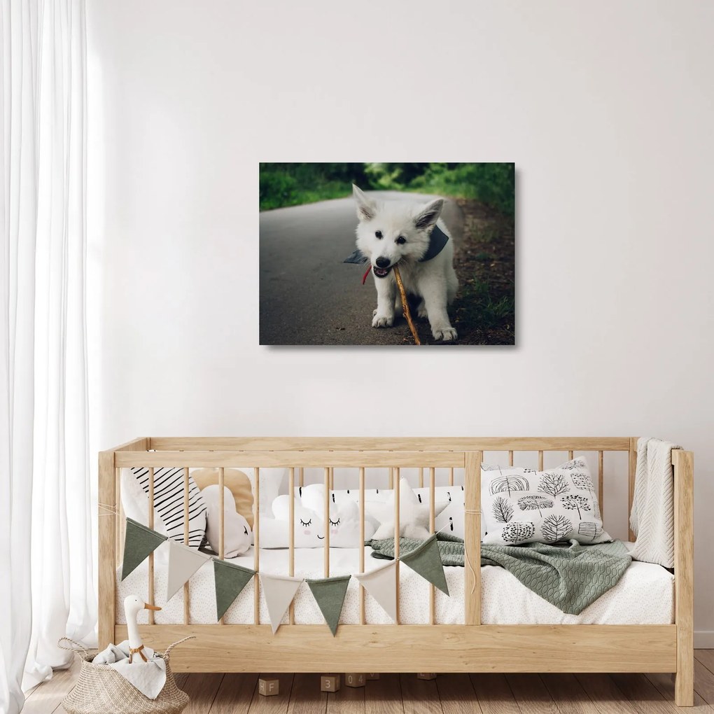 Tablou pe sticlă cu câinele alb (70x50 cm)