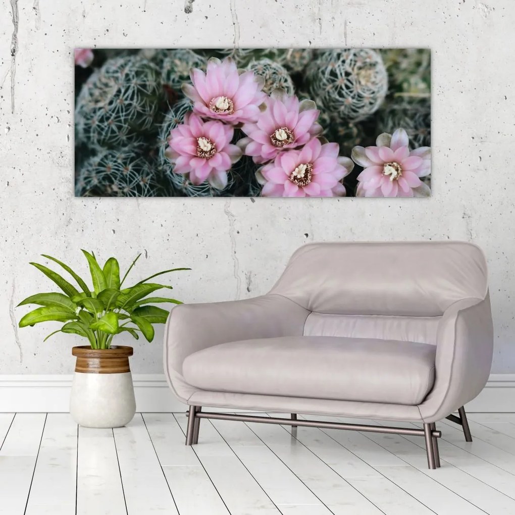 Tablou floare de cactus (120x50 cm)