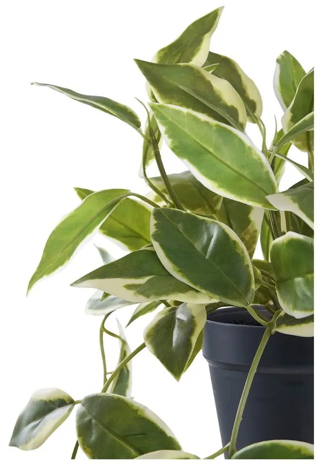 Plantă artificială (înălțime 33 cm) Hoya Carnosa – House Nordic