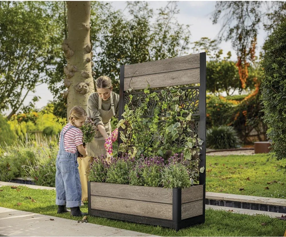 Pat ridicat de plante Deco – Keter