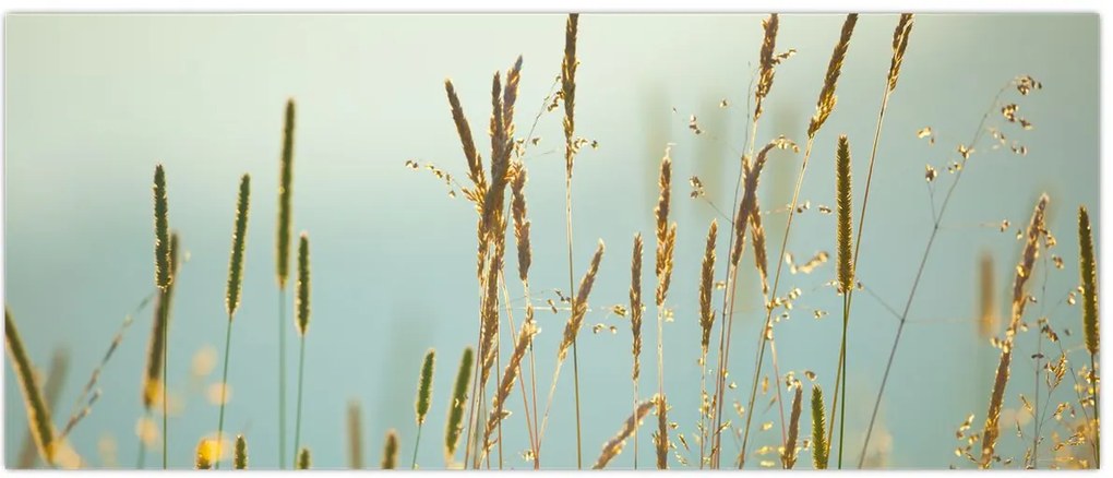 Tablou - Luncă (120x50 cm)