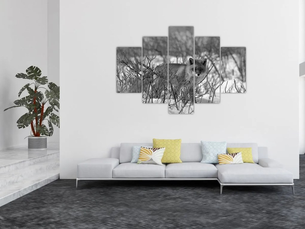 Tablou - Vulpe în timpul iernii (150x105 cm)