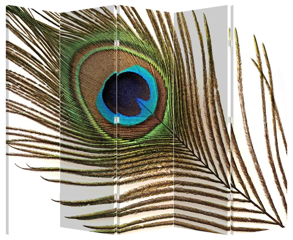 Paravan - Pene de păun (210x170 cm)