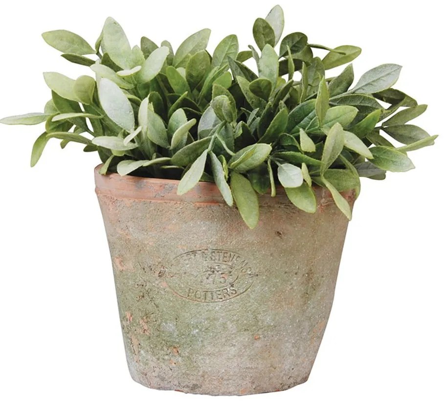 Ghiveci din teracotă ø 16 cm – Esschert Design