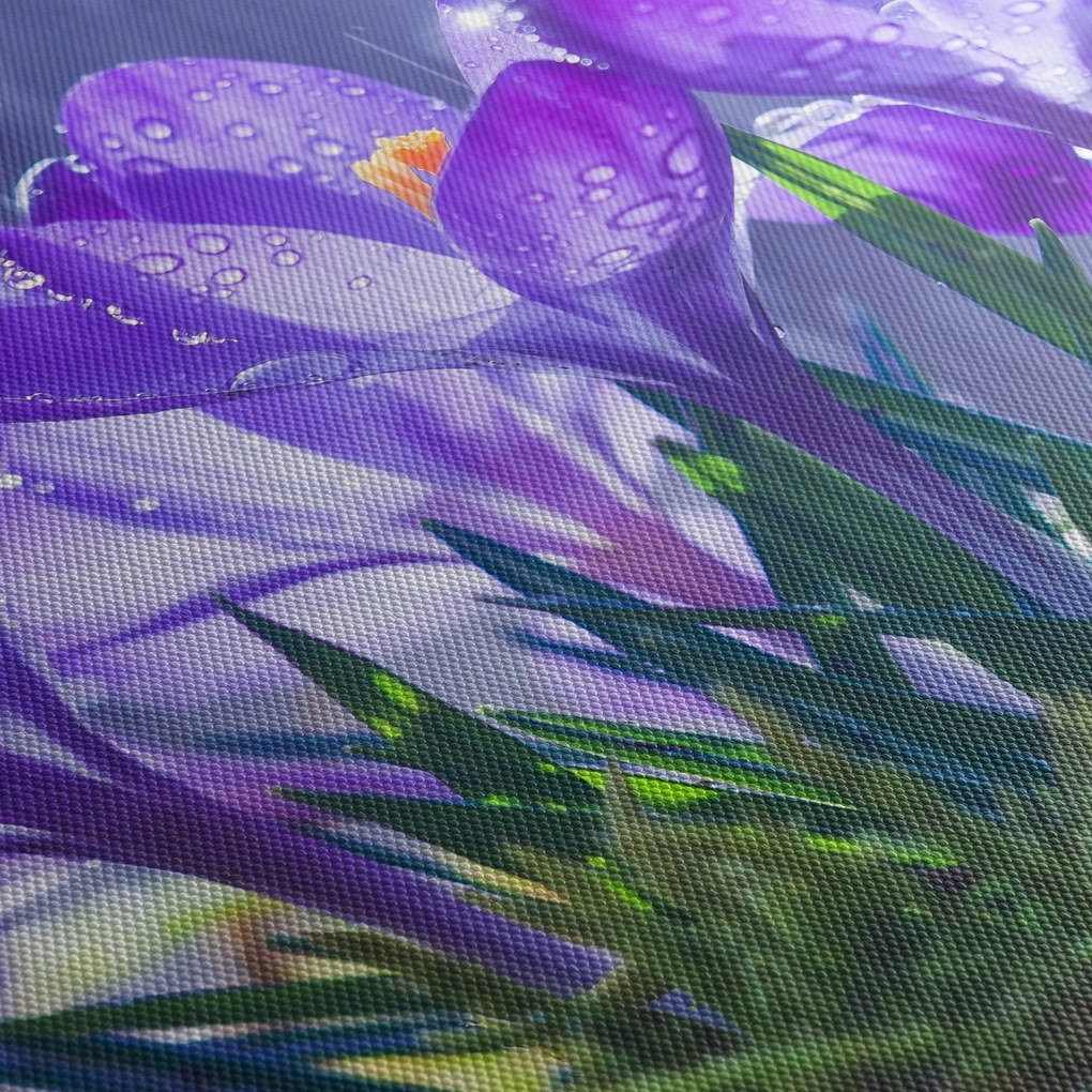 Tablou cuflori în ploaie (120x50 cm)