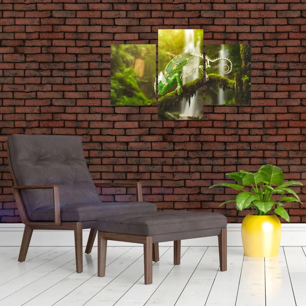 Tablou - cameleon (90x60 cm)